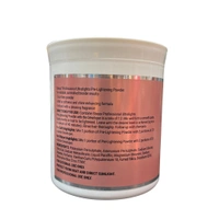 Streax Professional Ultralight Hair Highlights Blonder Powder 500g | Professional Hair Lightener for Salon Bleaching & Blonde Highlights | Even Lift & Vibrant Color