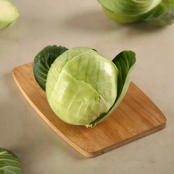 Cabbage पत्ता गोभी