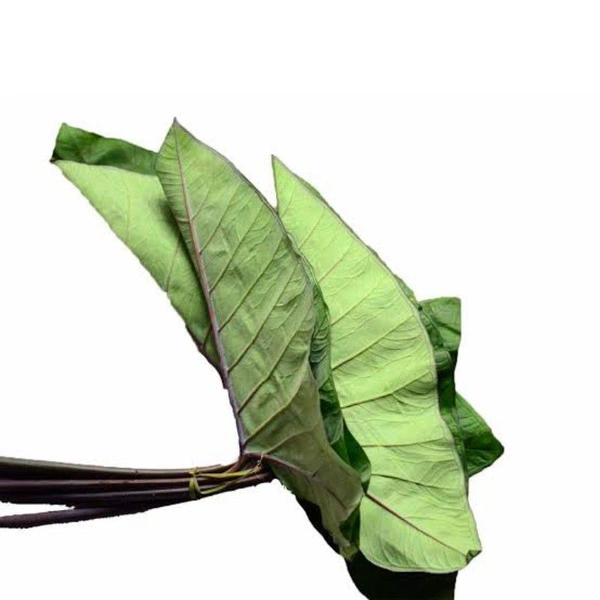 Arabi leaf अरबी का पत्ता - 500gm
