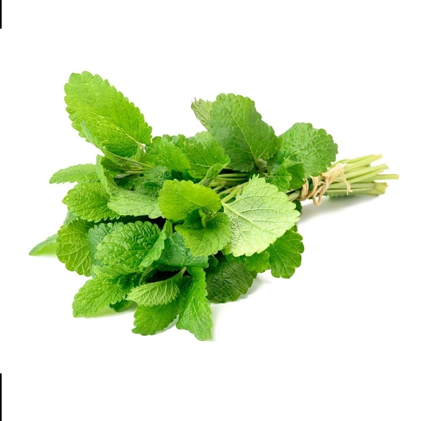 Pudina पुदीना - 50gm