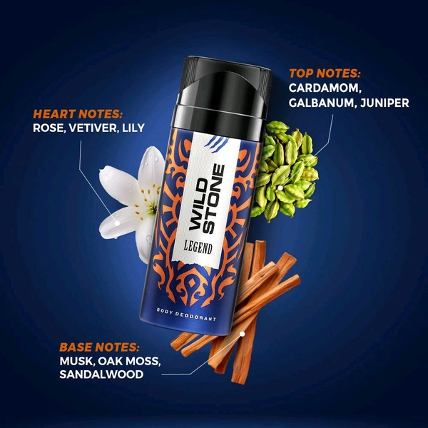 Wild Stone Legend Deodorant, 40ml / 27g