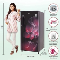 LG 188 L 3 Star Inverter Direct-Cool Single Door Refrigerator (GL-B191KPDX, Purple Dazzle) - Hiranagar Kathua Samba, Credit & Debit Cards