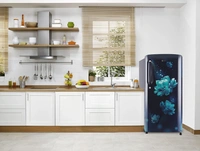 LG 190 L 5 Star Inverter Direct-Cool Single Door Refrigerator (GL-B201ABCZ, Blue Charm, Smart Connect) - Credit & Debit Card Accepted
