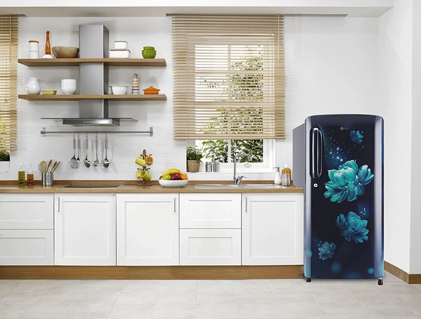LG 190 L 5 Star Inverter Direct-Cool Single Door Refrigerator (GL-B201ABCZ, Blue Charm, Smart Connect) - Credit & Debit Card Accepted