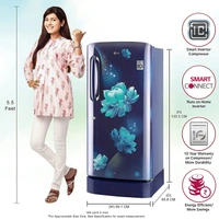 LG 215 L 4 Star Inverter Direct-Cool Single Door Refrigerator (GL-D221ABCY, Blue Charm, Base Stand with Drawer) - Kathua Hiranagar, Credit & Debit Card Accepted