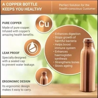 Polo Lifetime Leakproof Copper Bottle 950 ml Bottle - Hiranagar, Jatwal Kathua