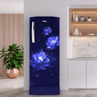 Whirlpool 215 L 5 Star Inverter Direct-Cool Single Door Refrigerator with Intellisense inverter technology(230 IMPRO ROY 5S INV SAPPHIRE ABYSS, Sapphire Abyss) - Credit & Debit Card Accepted, 3-5 Days