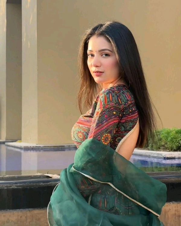 Anarkali Gown Jimmy Organza Silk  - L