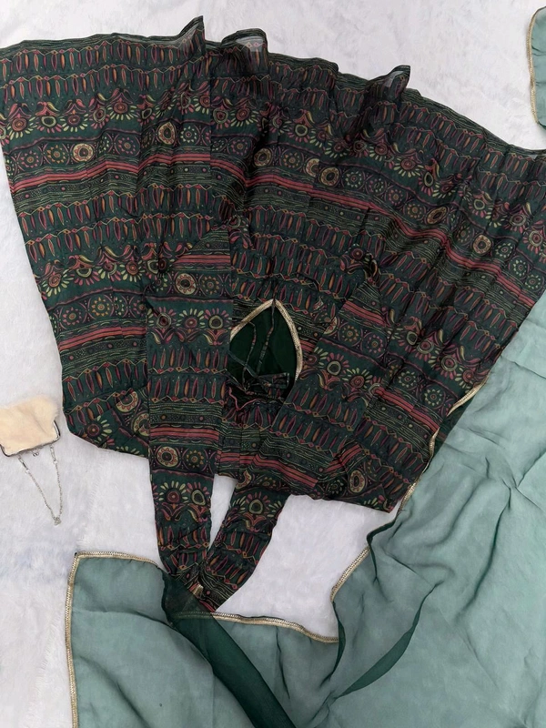 Anarkali Gown Jimmy Organza Silk  - L