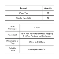 Chipku Diamond Black Moth (Cabbage/Cauliflower)