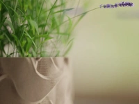 Styra Wavy Pattern Planter Pot - 12 cm, New Orleans