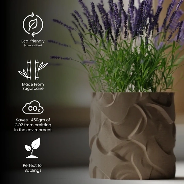 Styra Wavy Pattern Planter Pot - 12 cm, New Orleans