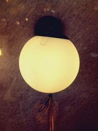 SriRamLight Swing Arm Wall Light Wall Lamp With Bulb - Black