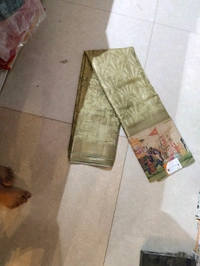 FANCEY SAREE-SKU-200002531