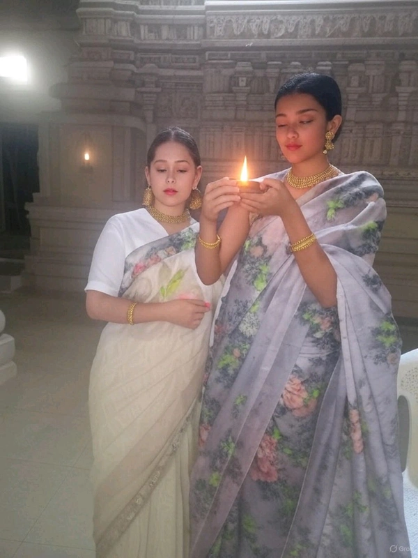 Fancey Saree-sku-200002276