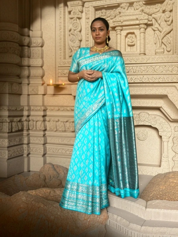 FANCEY SAREE-SKU-200002293