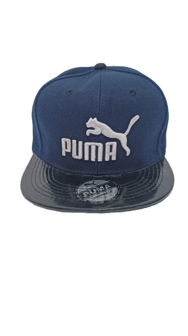 Mens China Imported Embrodary Design Leather Hood Puma Logo Hip-Hop Cap Blue Color-Snapback Fitting - 12