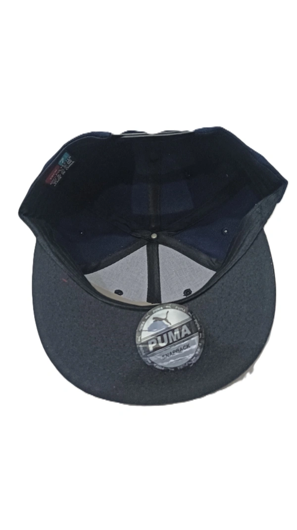 Mens China Imported Embrodary Design Leather Hood Puma Logo Hip-Hop Cap Blue Color-Snapback Fitting - 12