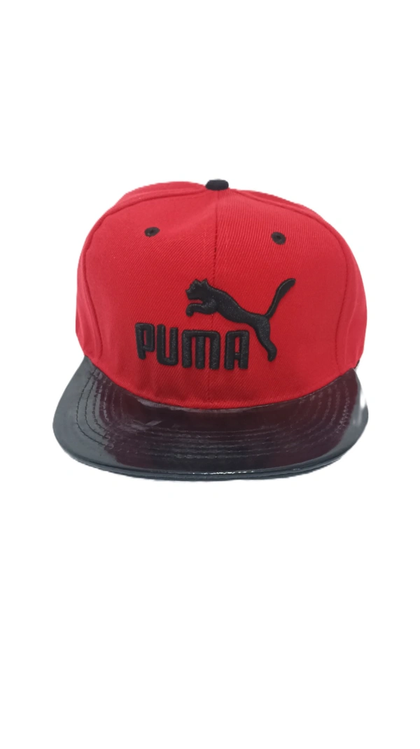 Mens China Imported Embrodary Design Leather Hood Puma Logo Hip-Hop Cap Red Color-Snapback Fitting - 12