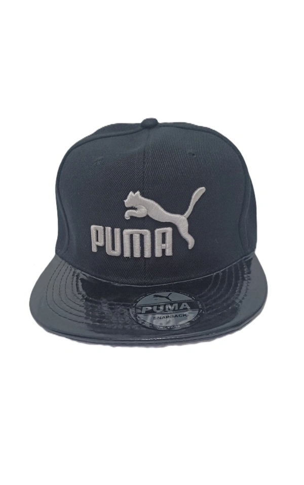 Mens China Imported Embrodary Design Leather Hood Puma Logo Hip-Hop Cap Black Color-Snapback Fitting - 12