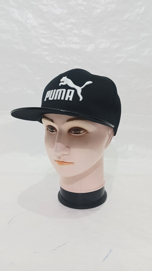 Mens China Imported Embrodary Design Leather Hood Puma Logo Hip-Hop Cap Black Color-Snapback Fitting - 12