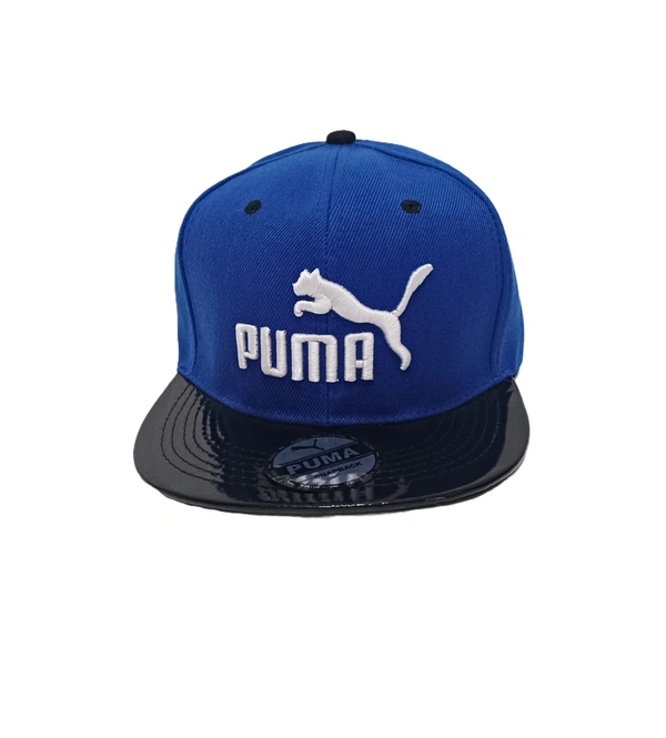 Mens China Imported Embrodary Design Leather Hood Puma Logo Hip-Hop Cap Blue Color-Snapback Fitting - 12