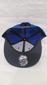 Mens China Imported Embrodary Design Leather Hood Puma Logo Hip-Hop Cap Blue Color-Snapback Fitting - 12