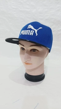 Mens China Imported Embrodary Design Leather Hood Puma Logo Hip-Hop Cap Blue Color-Snapback Fitting - 12