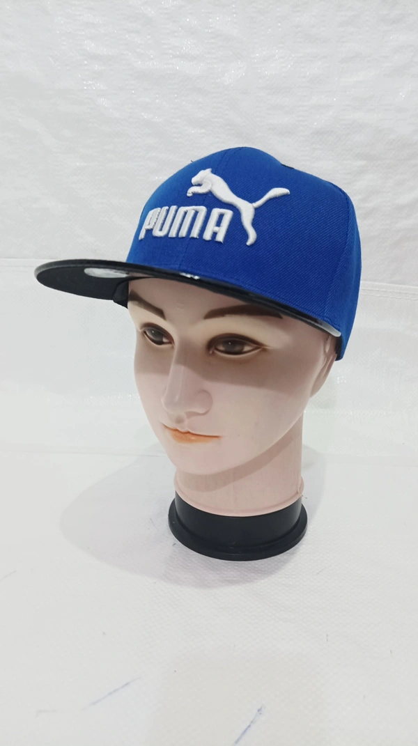 Mens China Imported Embrodary Design Leather Hood Puma Logo Hip-Hop Cap Blue Color-Snapback Fitting - 12