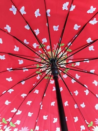 SINGLE FOLD POLYSTER MIX PRINTED AUTO OPEN UMBRELLA SIZE 22 INCH - FREE, 6