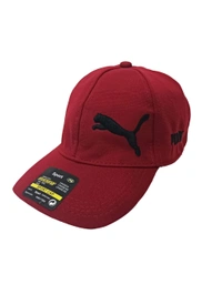 Mens Embrodary  Flaxi Fit Material Cap  Color - Mix Color Pack  Fitting - Steel Buckle - 48