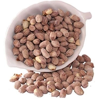 Sikandar Jumbo Khari Sing Roasted Salted Peanuts With Skin 400g - Vacuum