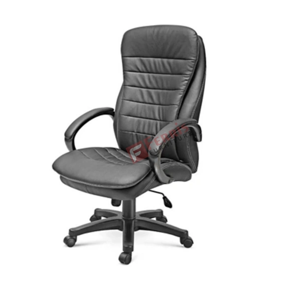 Ferris DIRECTOR CHAIR FDC 110 HB