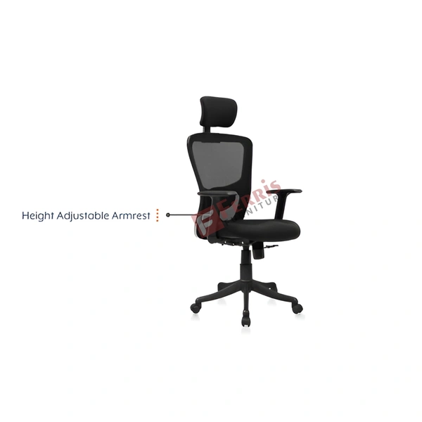 Ferris EXECUTIVE CHAIR FEC 310 HB