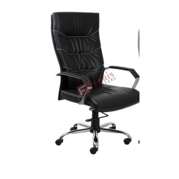 Ferris DIRECTOR CHAIR FDC 113 HB