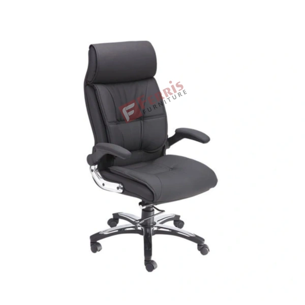 Ferris DIRECTOR CHAIR FDC 105 MB
