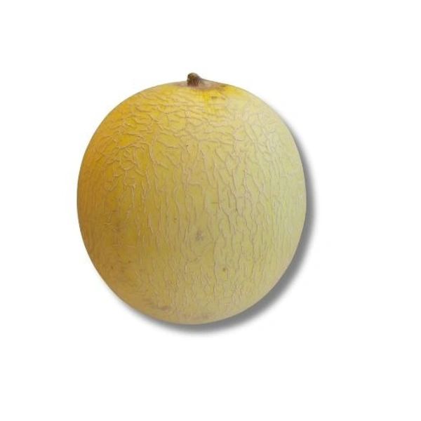 Melon (Bangalore) - 1 Pc (600g-800g)