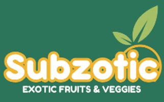 Subzotic - Logo