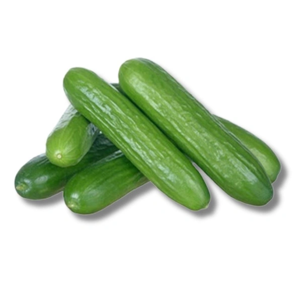 Cucumber Seedless - 500g