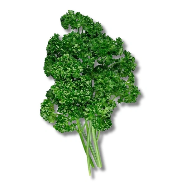 Parsley Curly - 100g