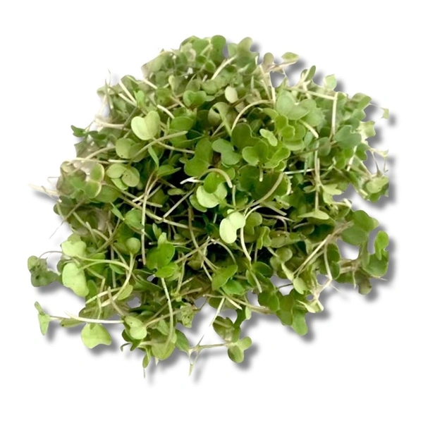 Microgreens - 1 Pkt (30g-40g)