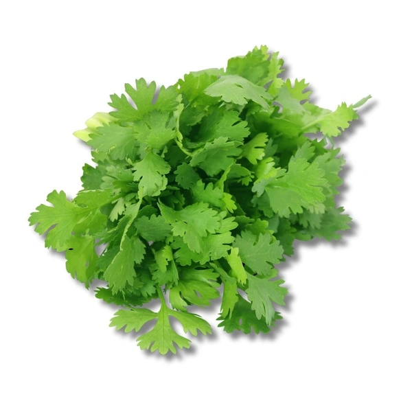 Dhaniya (Coriander) - 100g
