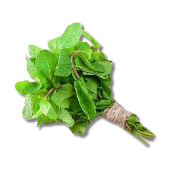 Pudina (Mint Leaf) - 100g