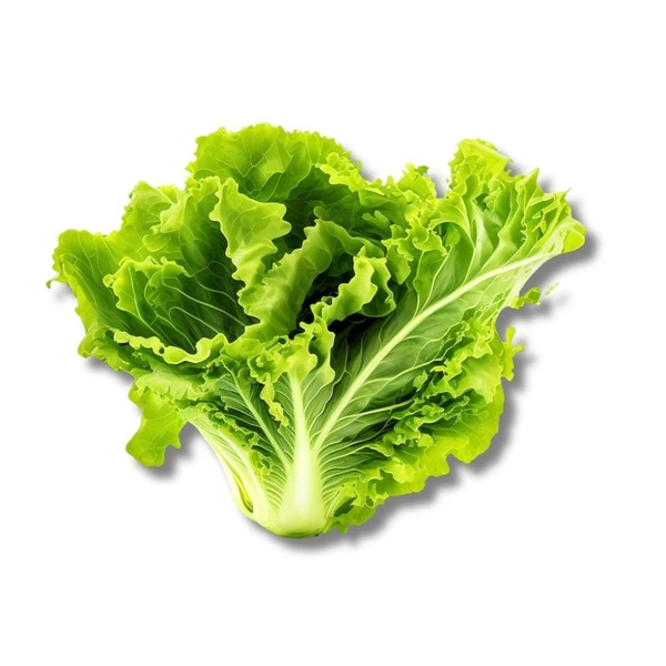 Lettuce Green - 500g
