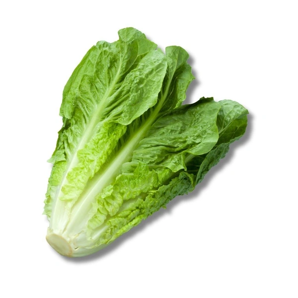 Romain Lettuce - 250g