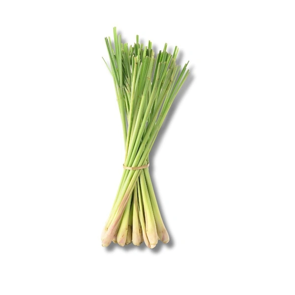 Lemongrass - 1 Pc