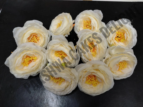 SINGLE FLOWER - DELIGHT 5, 1 PC