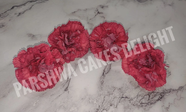 CARNATION - 4 PCS PACK, DELIGHT 195