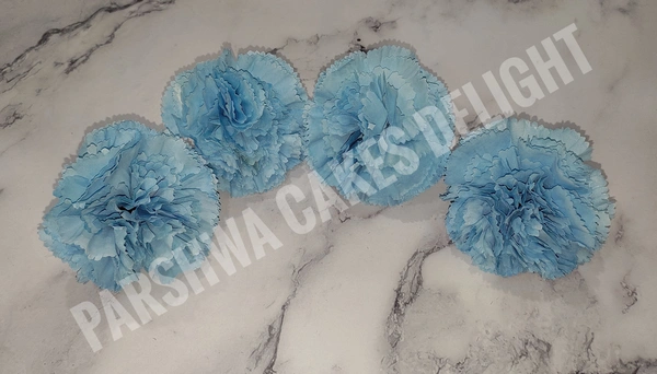 CARNATION - DELIGHT 199, 4 PCS PACK