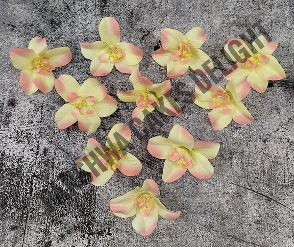 FLOWER - DELIGHT 211, 10 PCS PACK